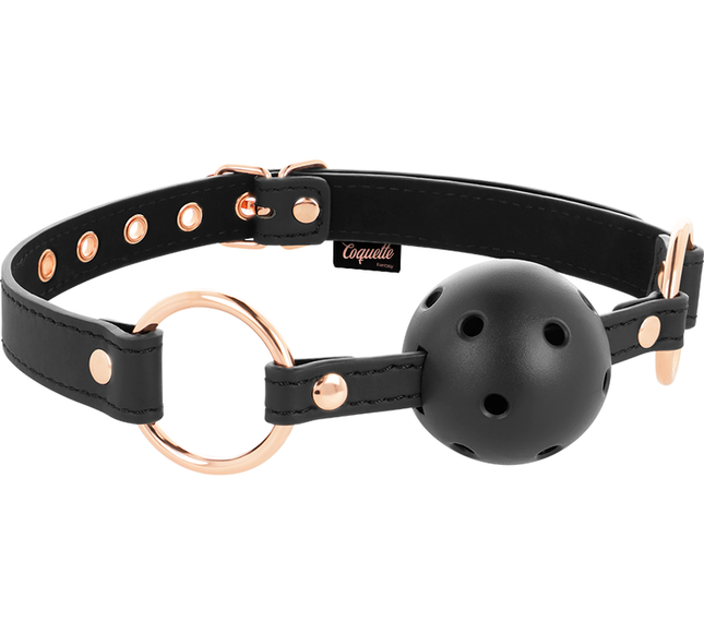 COQUETTE CHIC DESIRE - BÂILLON À BOULE RESPIRANT