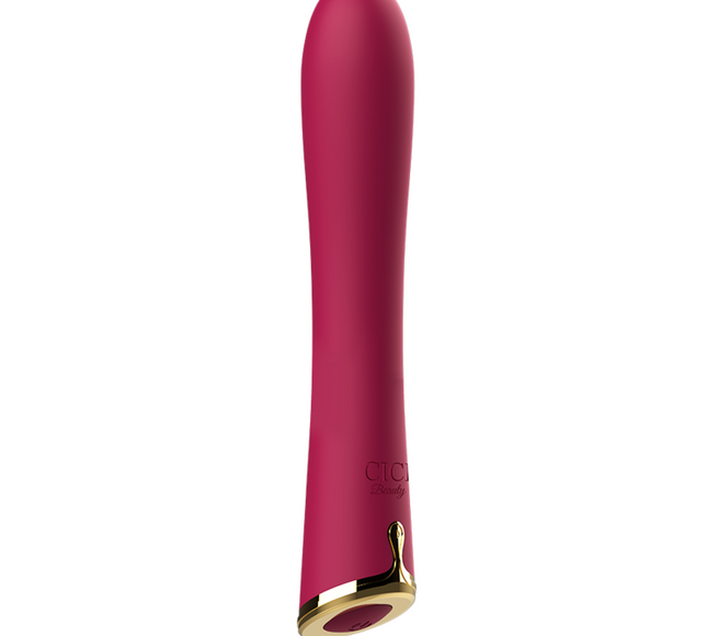 CICI BEAUTY - VIBROMASSEUR COMPACT